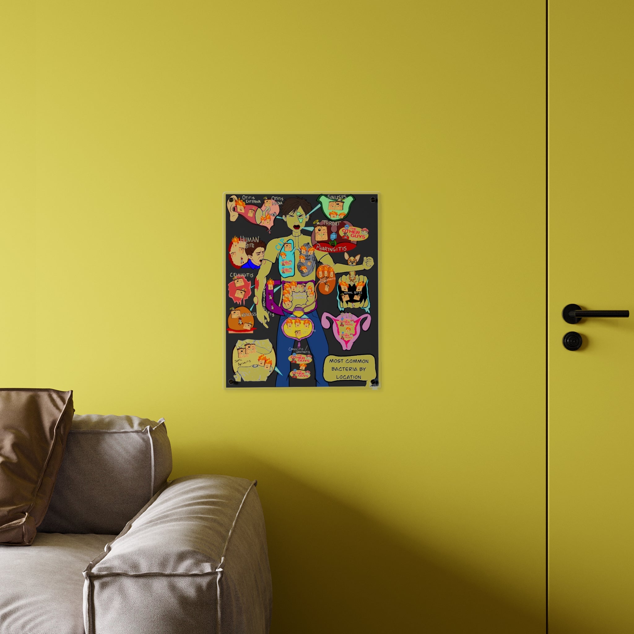 Most Common Bacteria By Location Acrylic Wall Art Panel for Patient Education in Clinics and Hospitals