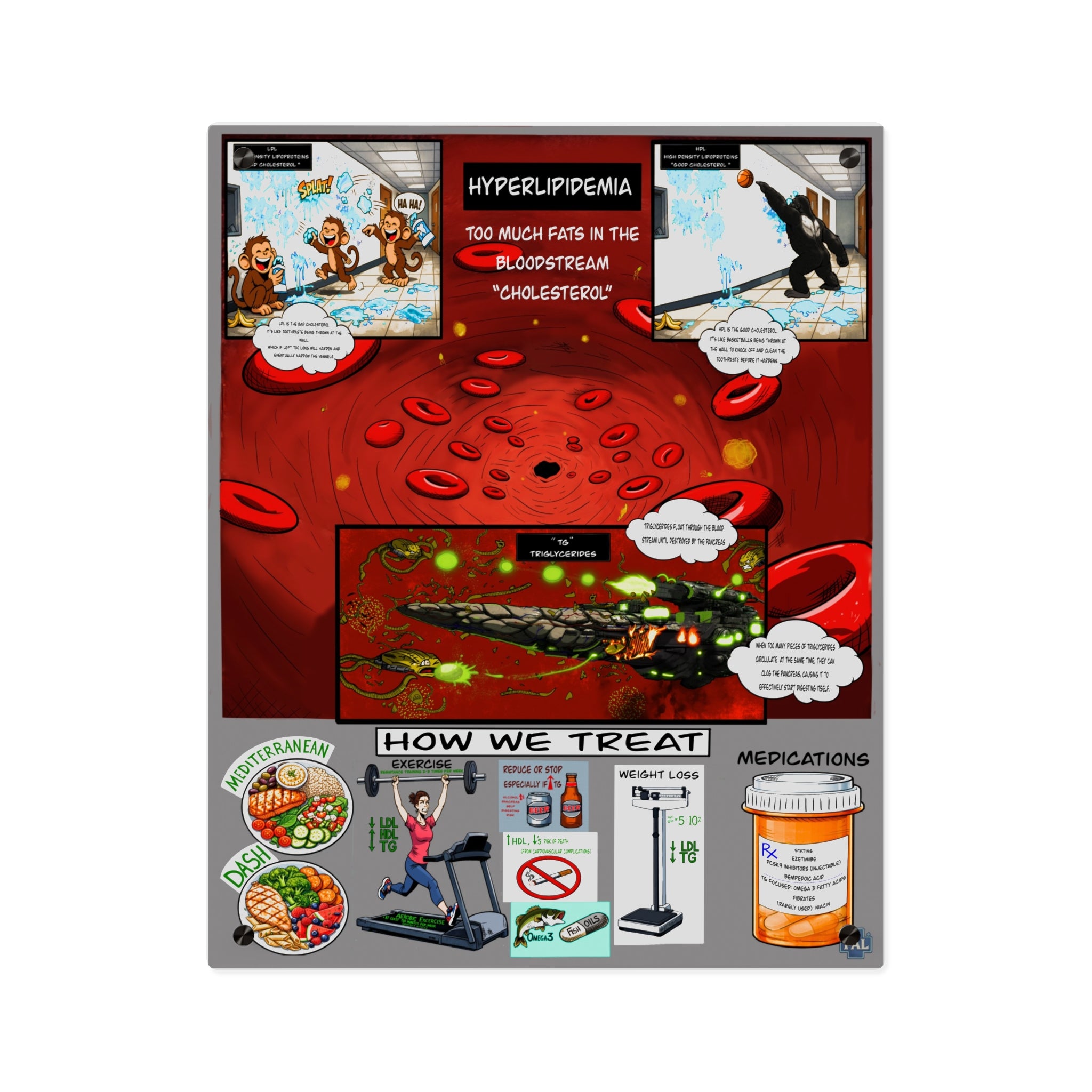 Lipids and Cholesterol Acrylic Wall Art Panel for Patient Education in Clinics and Hospitals