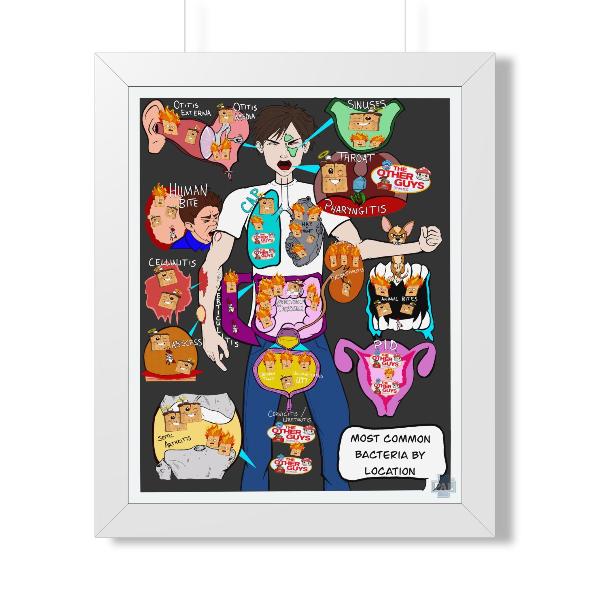 Bacteria by Location Infographic for patient education in clinics, exam rooms, hospitals.