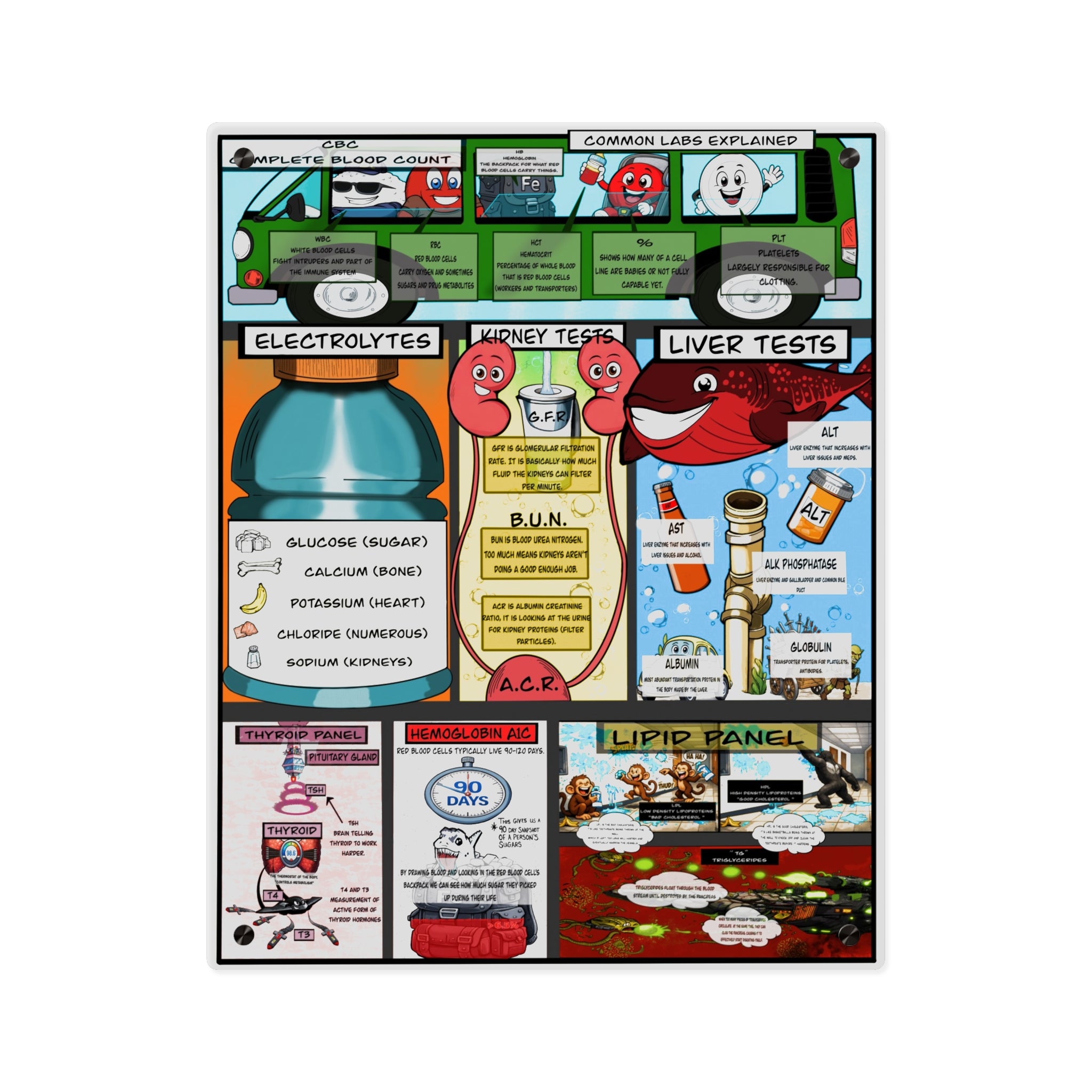 Common Lab Values Acrylic Wall Art Panel for Patient Education in Clinics and Hospitals