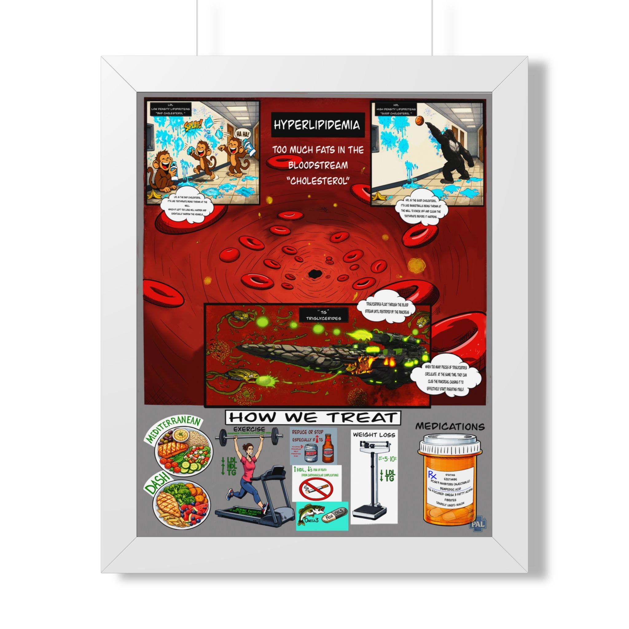 Lipids Infographic for patient education in clinics, exam rooms, hospitals.