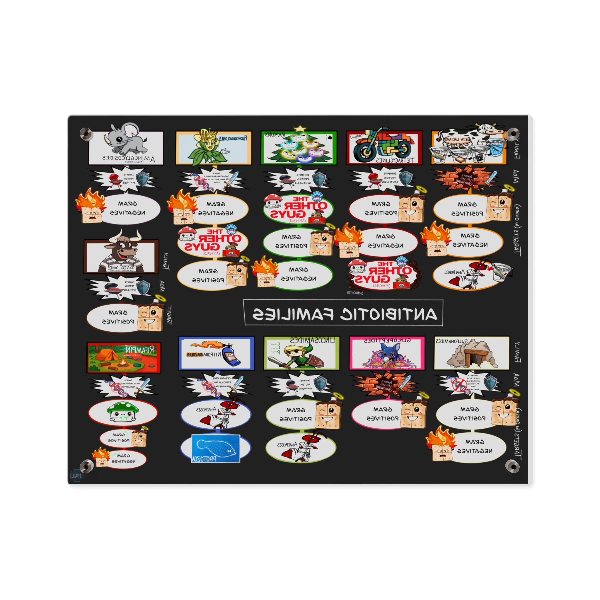 Antibiotic Families Acrylic Wall Art Panel for Patient Education in Clinics and Hospitals