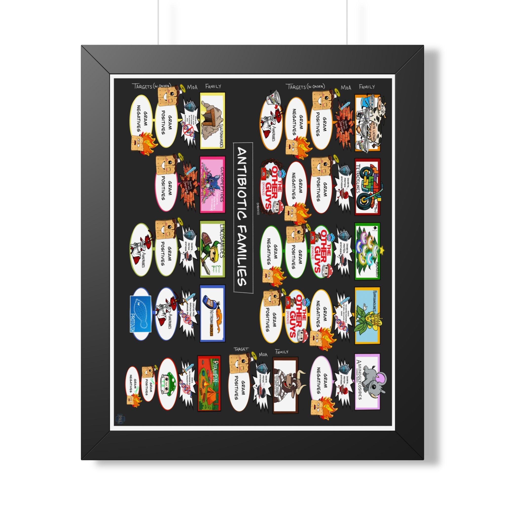 Antibiotic Families Infographic for patient education in clinics, exam rooms, hospitals.