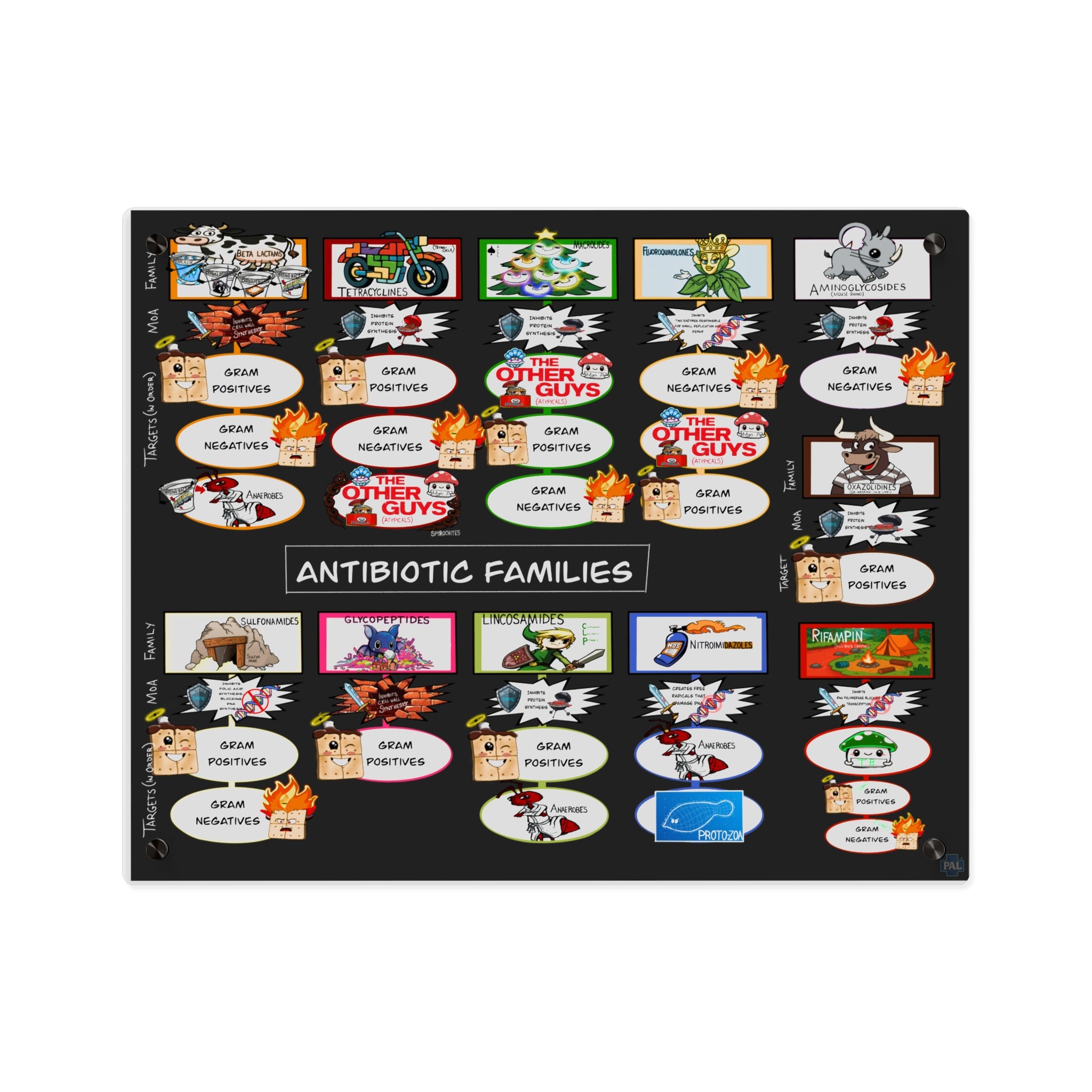 Antibiotic Families Acrylic Wall Art Panel for Patient Education in Clinics and Hospitals