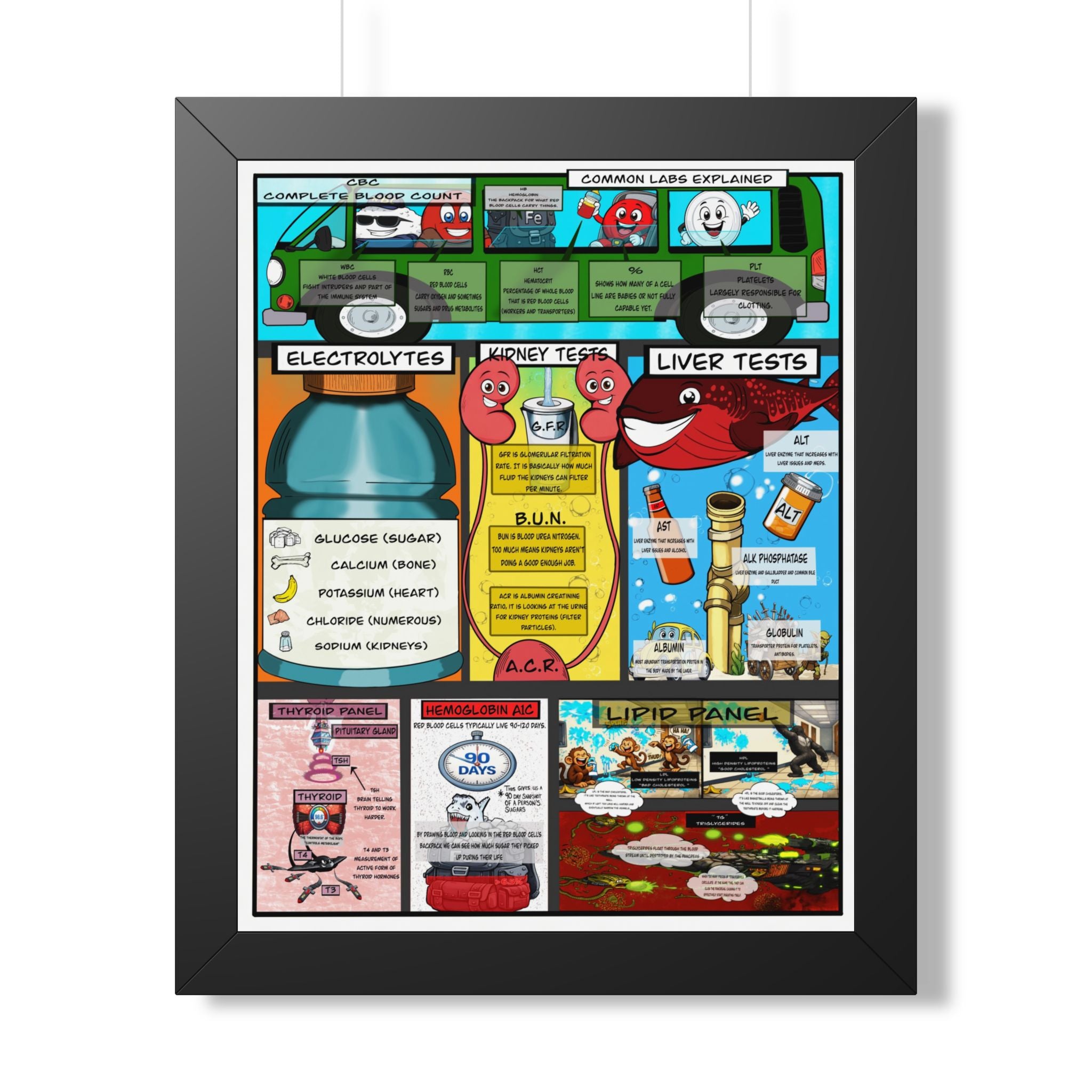 Common Lab Values Infographic for patient education in clinics, exam rooms, hospitals.