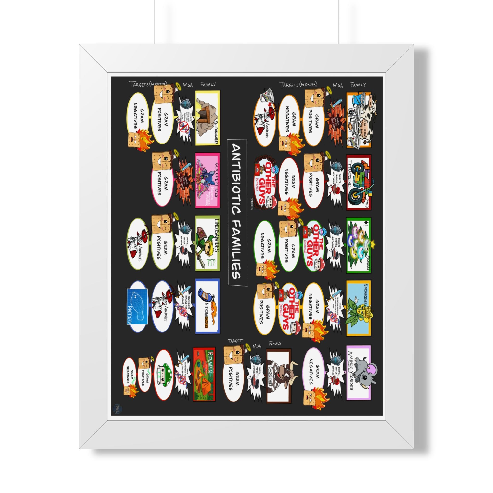 Antibiotic Families Infographic for patient education in clinics, exam rooms, hospitals.