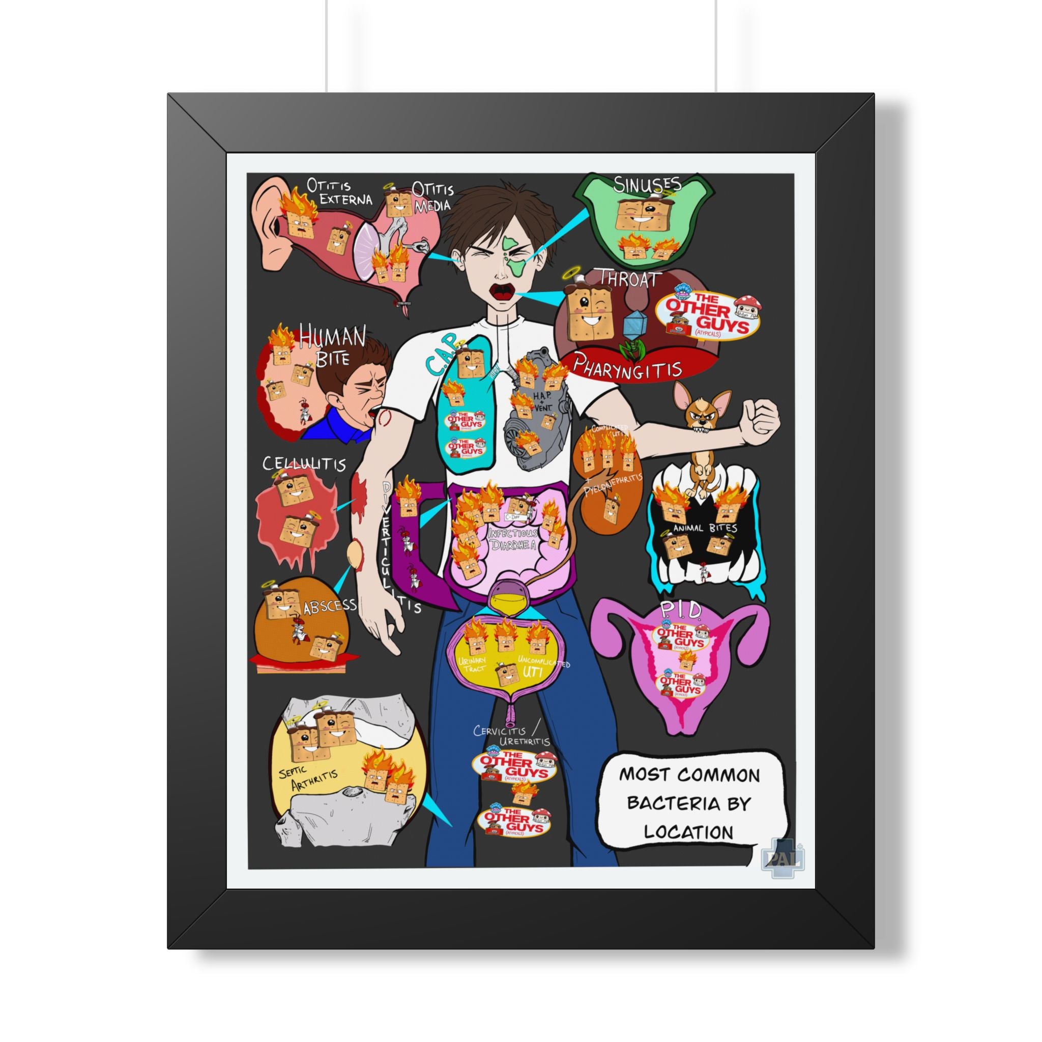 Bacteria by Location Infographic for patient education in clinics, exam rooms, hospitals.