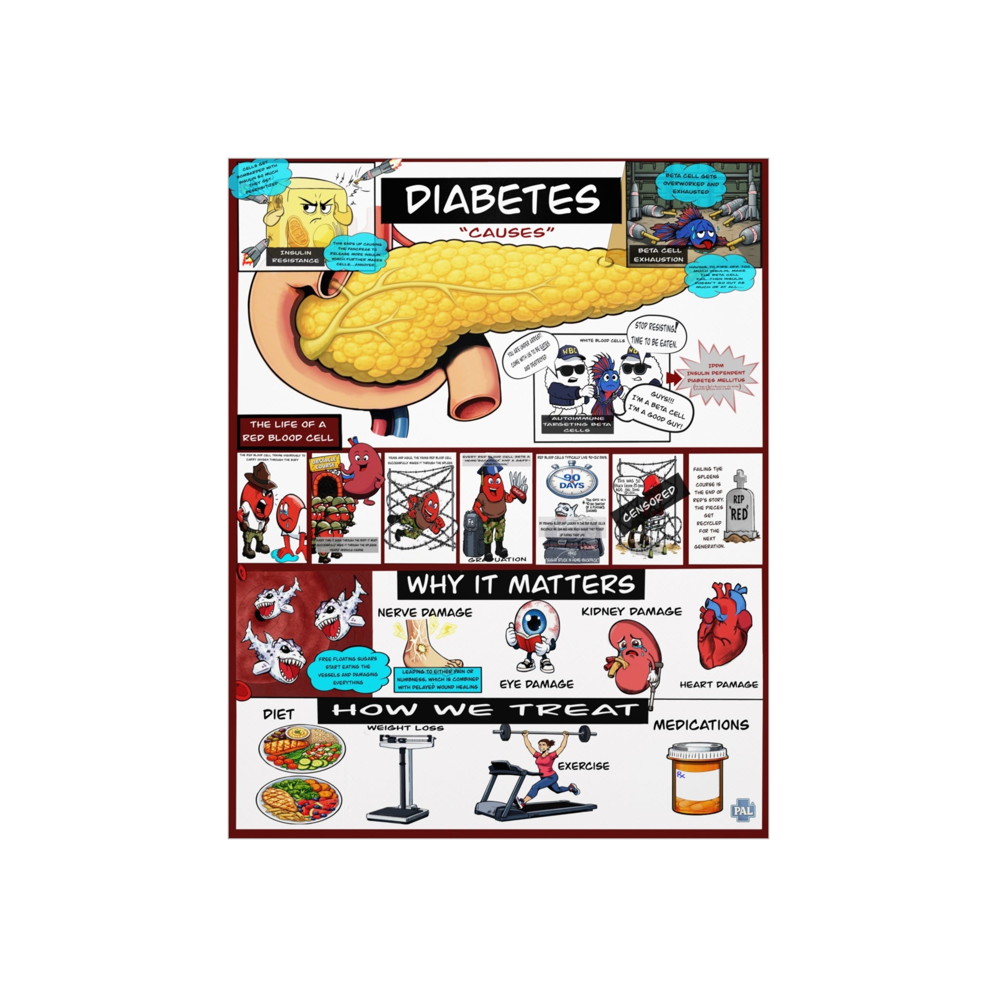 Clinical Diabetes Foam Board education infographic for medical offices