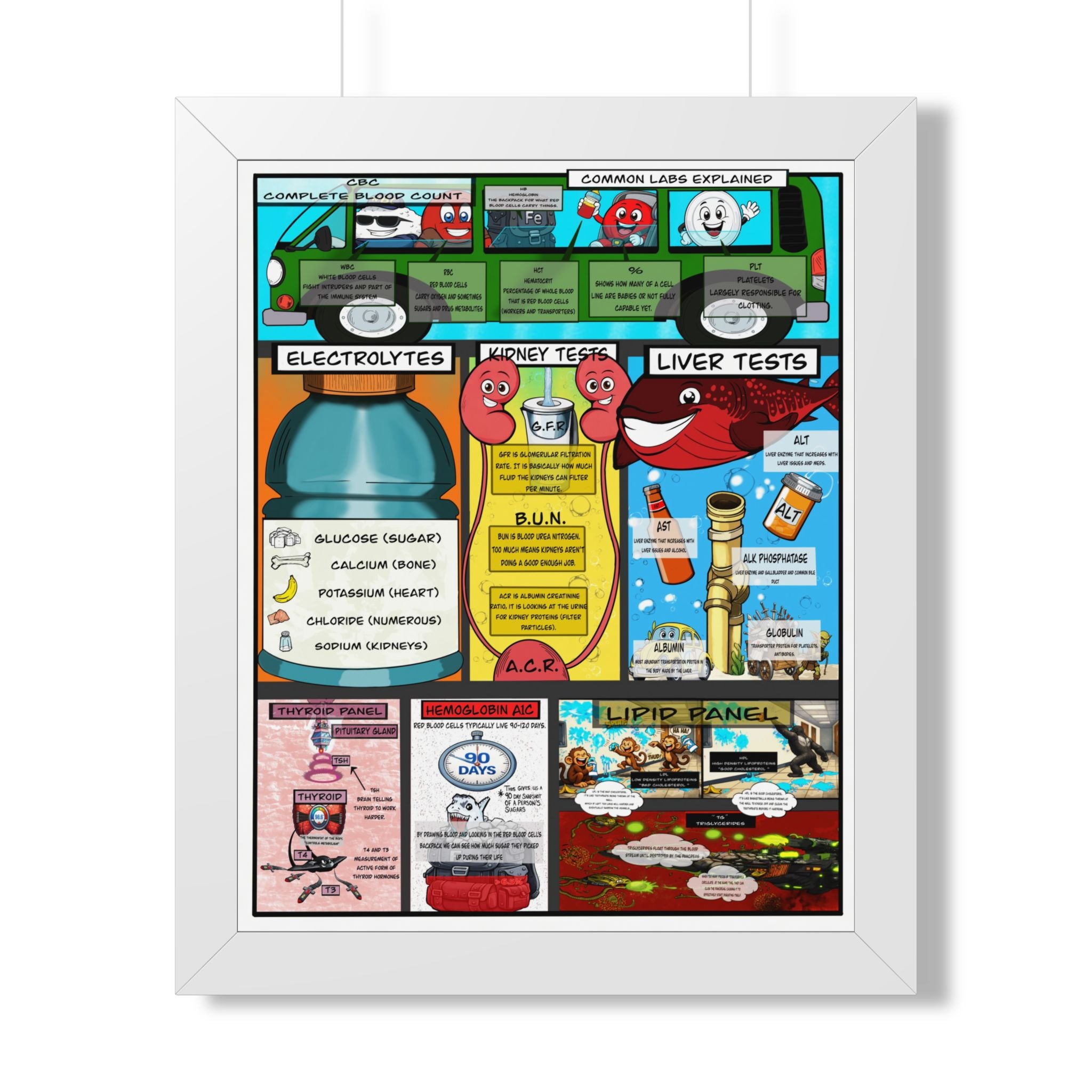 Common Lab Values Infographic for patient education in clinics, exam rooms, hospitals.