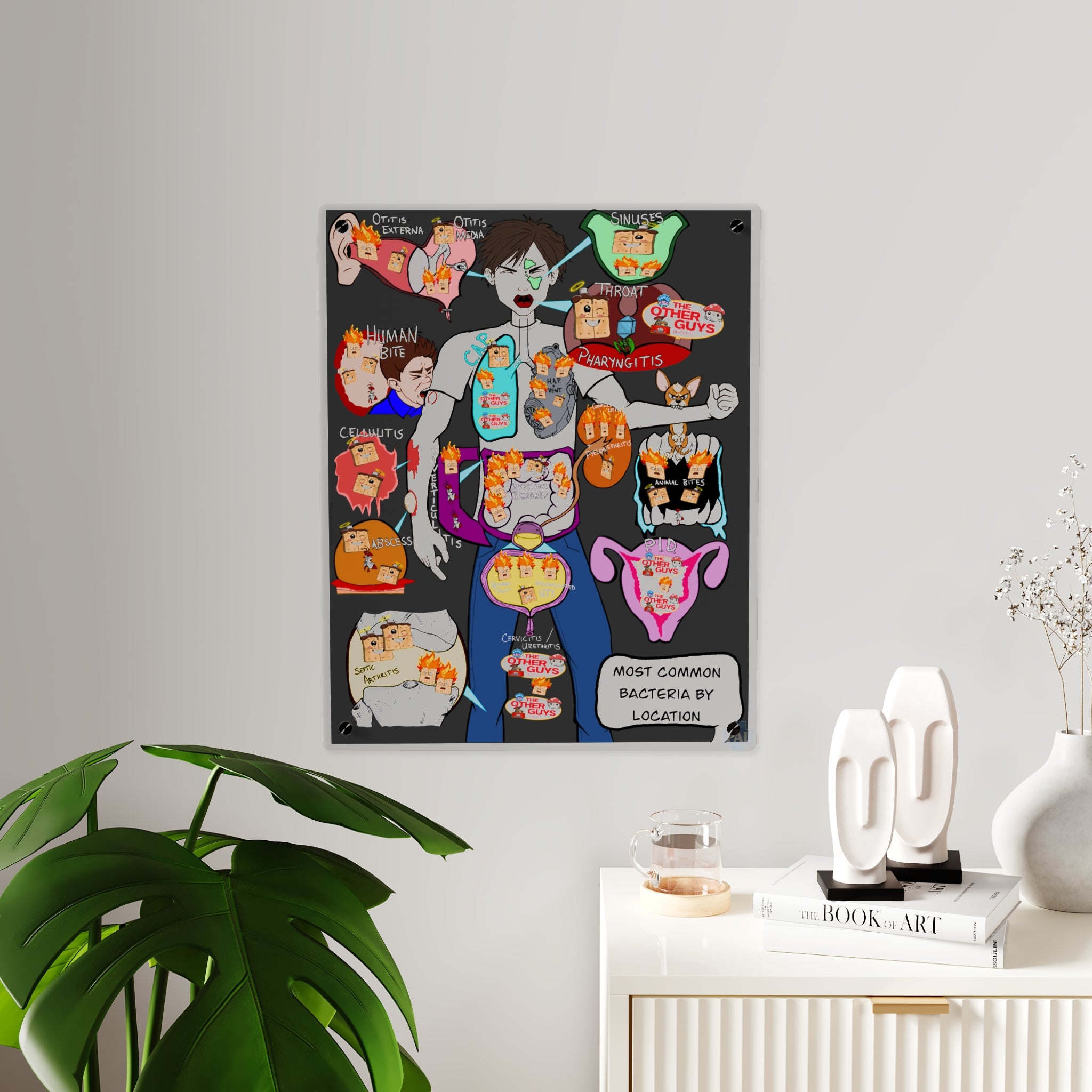 Most Common Bacteria By Location Acrylic Wall Art Panel for Patient Education in Clinics and Hospitals