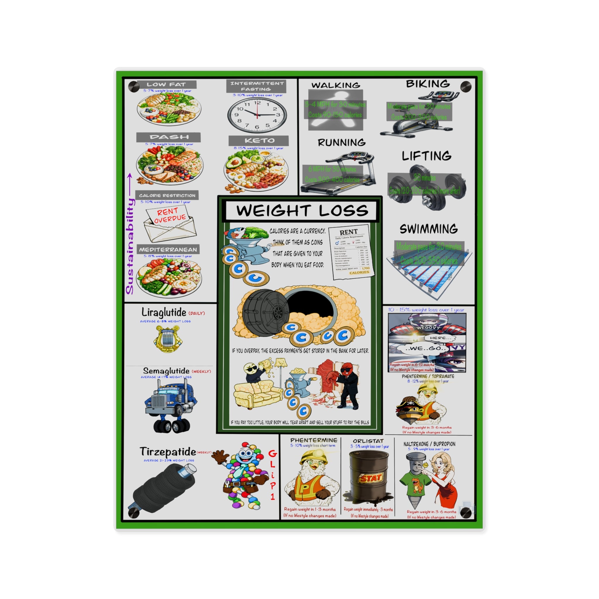 Weight Loss Acrylic Wall Art Panel for Patient Education in Clinics and Hospitals