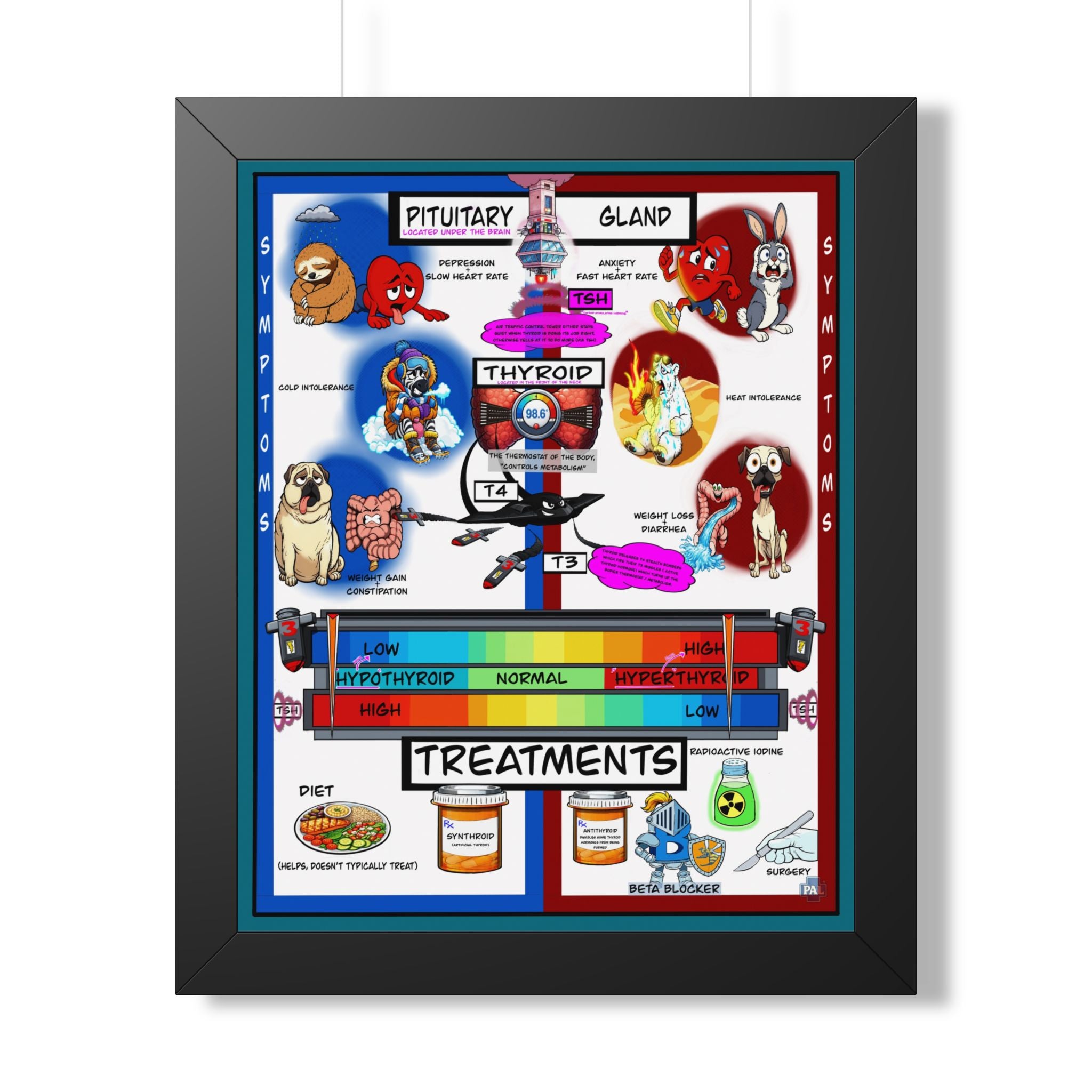 Thyroid Infographic for patient education in clinics, exam rooms, hospitals.