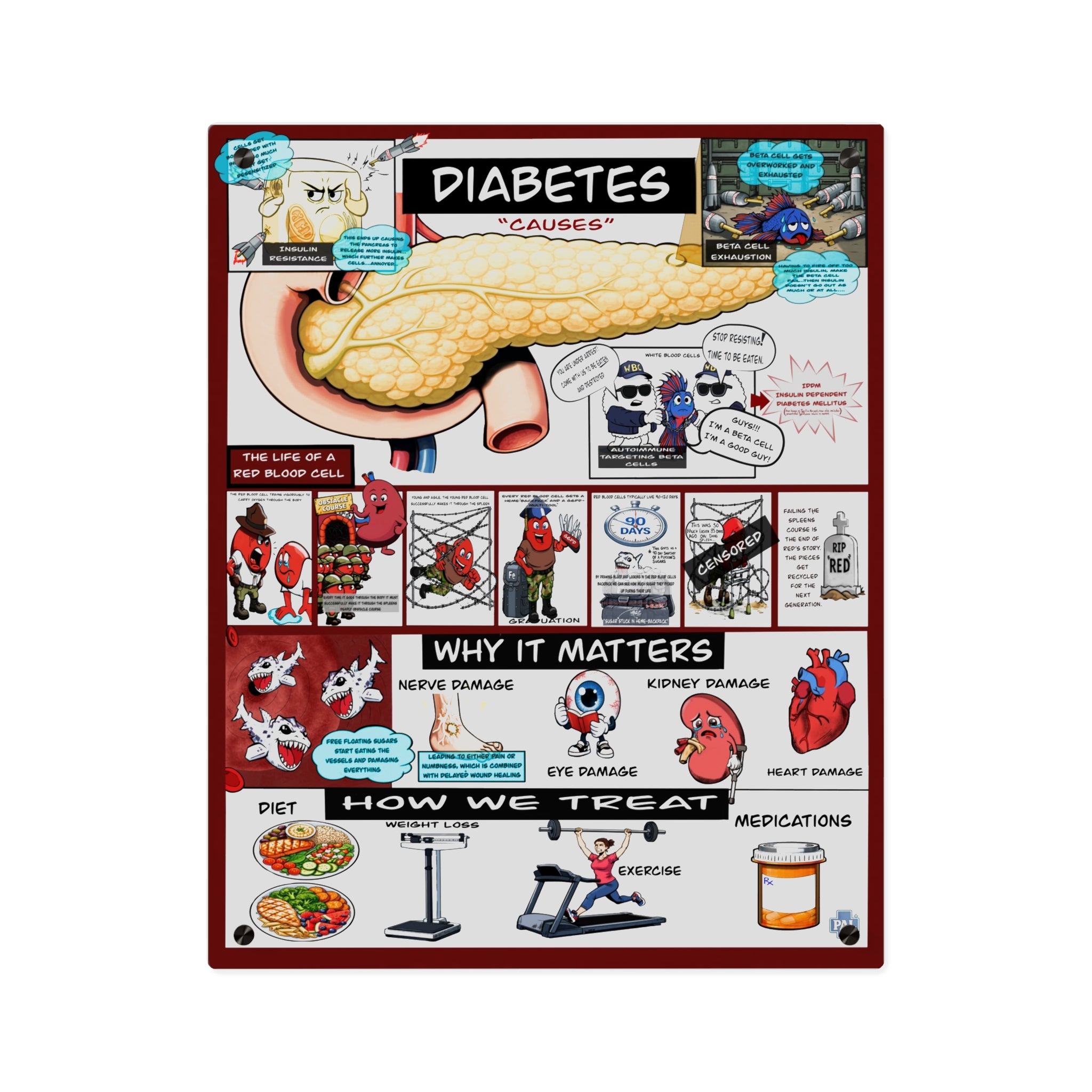 Diabetes Acrylic Wall Art Panel for Patient Education in Clinics and Hospitals