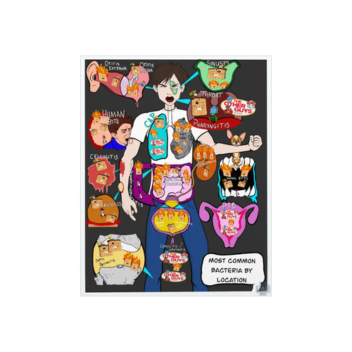 Antibiotics Poster Bundle